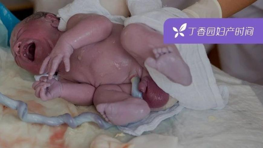 央美雕塑 城市农民,管家婆新澳门彩开奖记录,广泛的解释落实方法分析_HarmonyOSV10.14