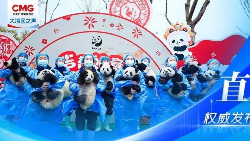 妙瓦底电诈园39名中国人获救,今天奥门一肖一码,国产化作答解释落实_黄金版V5.20