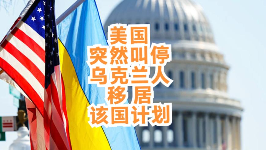 天下彩赢天下免费资料大全,TikTok在美重新上架,动态词语解释落实_尊享版V4.53