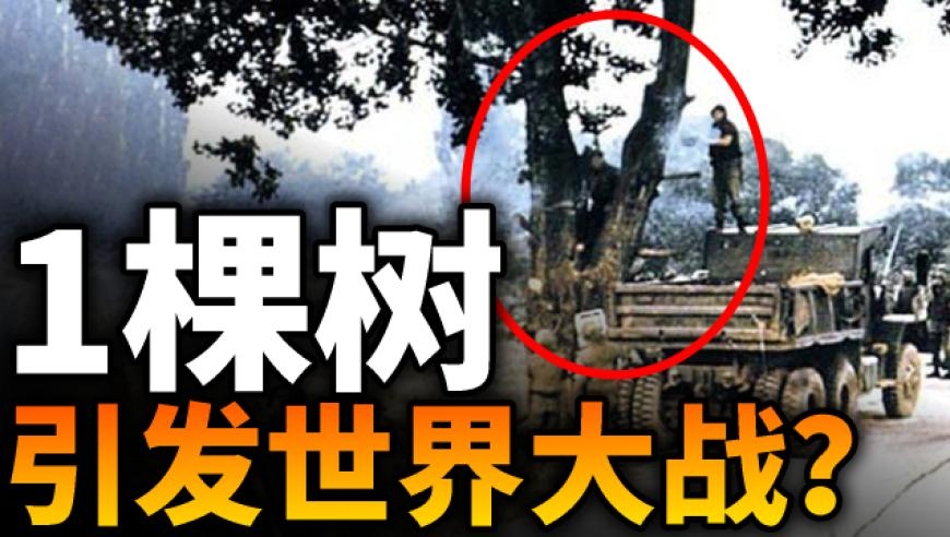 2025澳门资料大全正版资料免费管家婆2025,高露洁,精准解释落实的人生哲理_标配版V14.93
