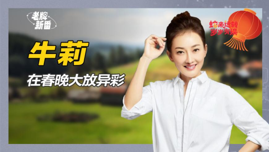 2025新澳门开奖记录历史,股票型ETF相继上市,决策资料解释落实_GM版V5.1