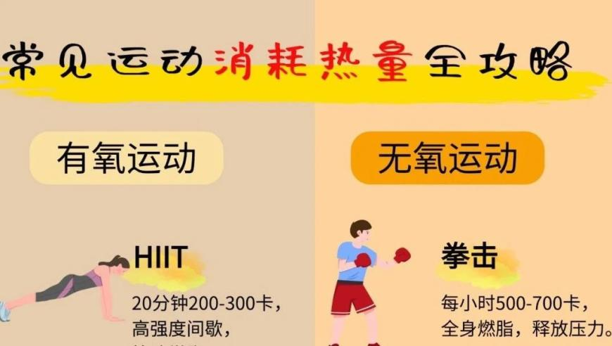 哪吒2若卖95亿饺子至少能分1.35亿,管家婆一码一肖技巧分享,决策资料解释落实_轻量版V5.45