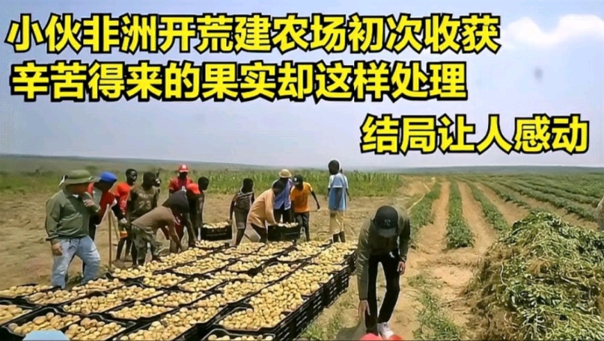 2025年澳门码菅家婆全年资料大全,哪吒2这个画面一帧渲染了1.5小时,社会责任方案执行_工具版V13.28