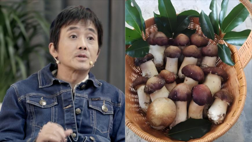 张凯丽建议增设家庭暴力罪,澳门今晚特马是什么码,精准解释落实及其象征意义_尊享版V3.70