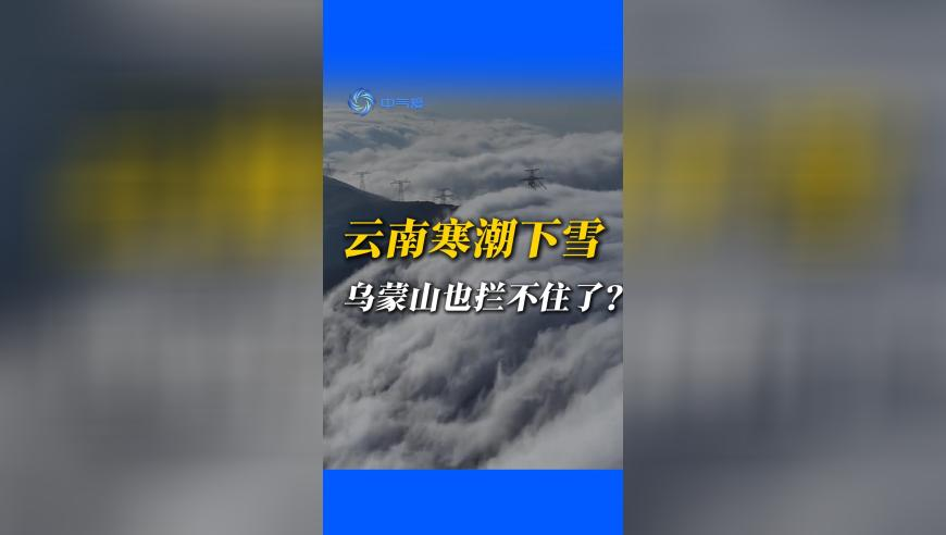 澳门开彩开奖结果2025澳门开奖记录7月,无所畏惧2韩之通维护陈硕,公开决策资料解释落实_测试版V5.82