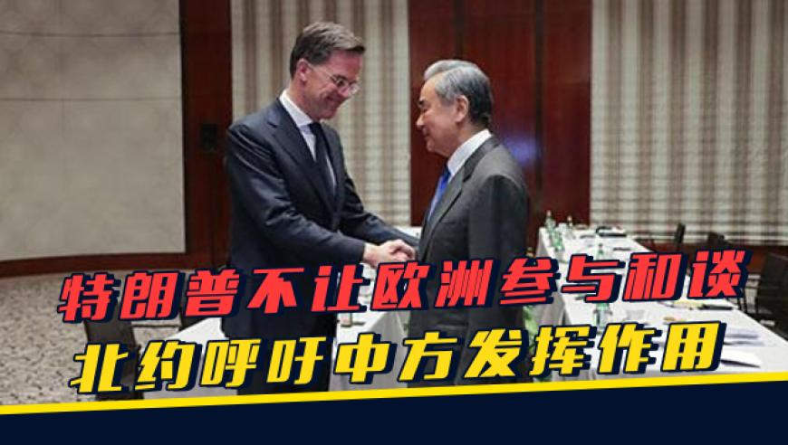 管家一肖一码资料大全,核子公司带货直播销售额为0,创造力策略实施推广_升级版V8.80