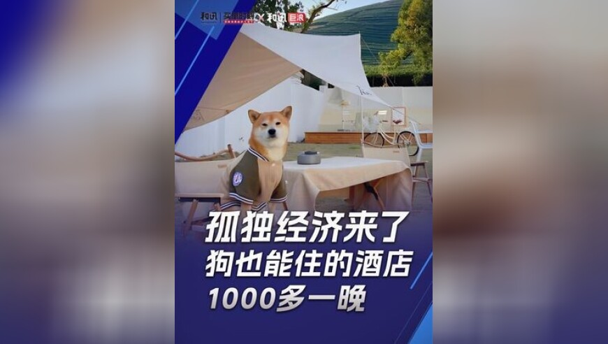 妻子不愿继续生育离婚后获补偿35万,灭庄五肖论坛,最新正品解答落实_定制版V3.51